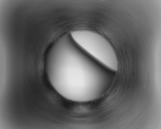 X0000097000739200802081028