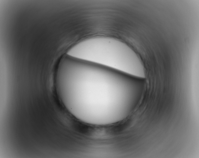 X0000097000740200802081028
