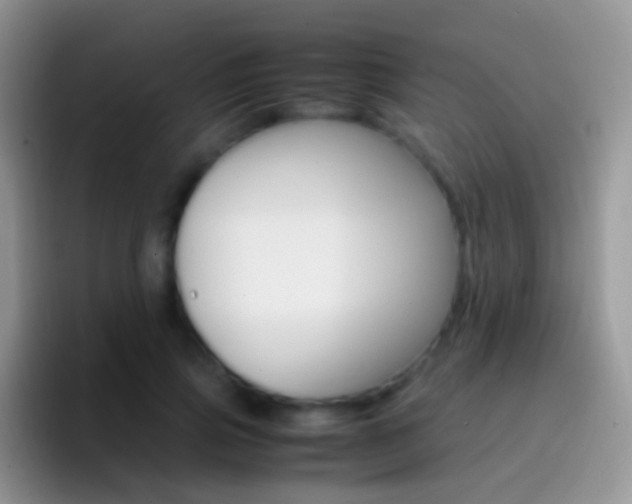 X0000097000741200802081028