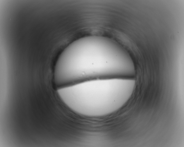 X0000097000748200802081028