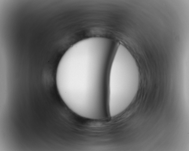 X0000097000751200802081028