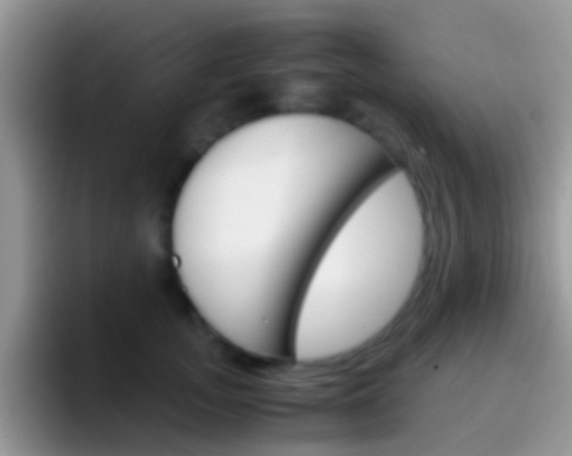 X0000097000755200802081028