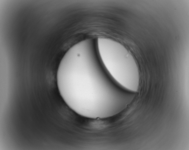 X0000097000759200802081028