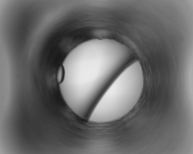 X0000097000762200802081028