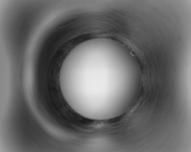 X0000097000764200802081028