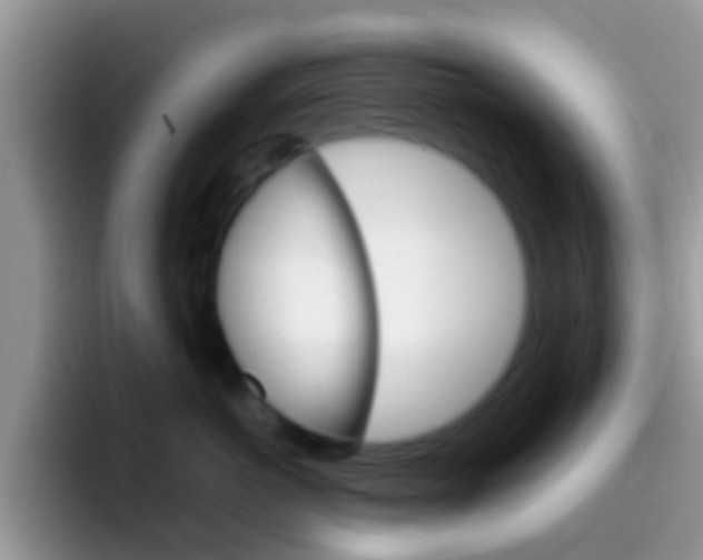 X0000097000766200802081028