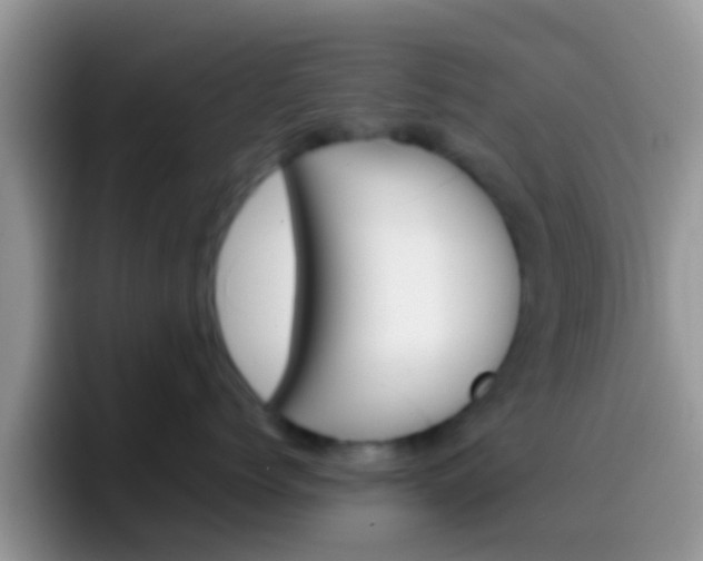 X0000097000768200802081028