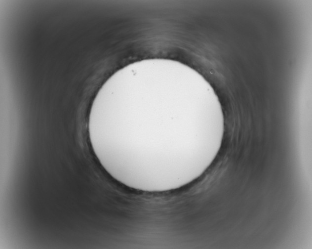 X0000097000769200802081027