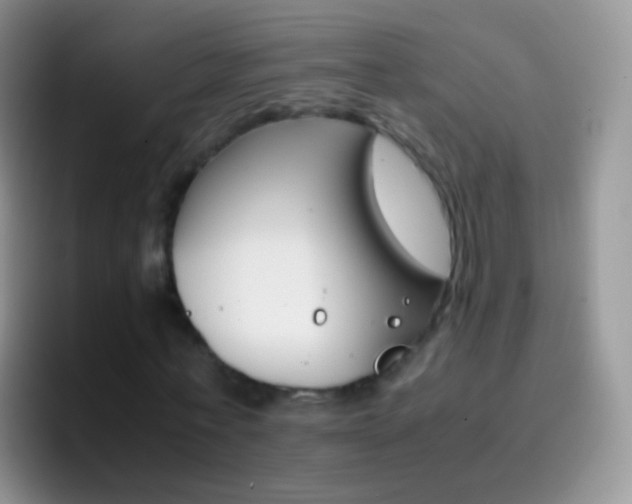 X0000097000771200802081027