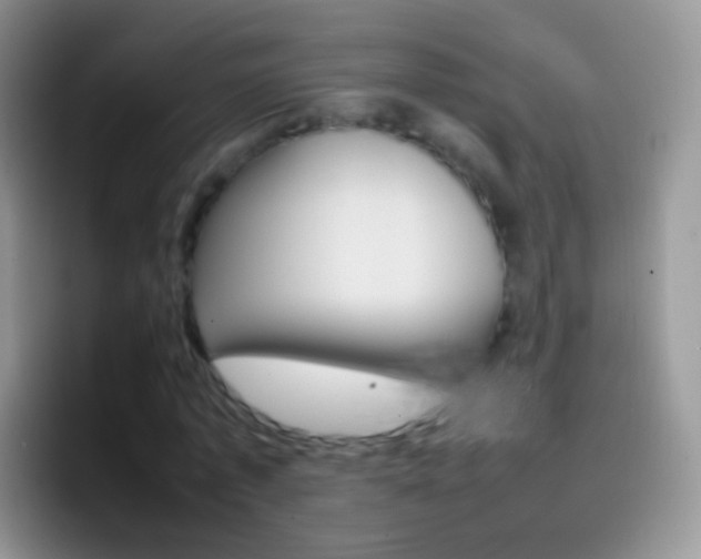 X0000097000773200802081027