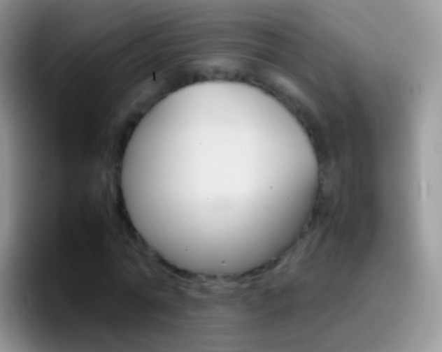 X0000097000774200802081027