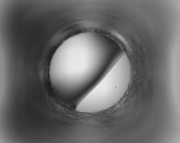 X0000097000775200802081027
