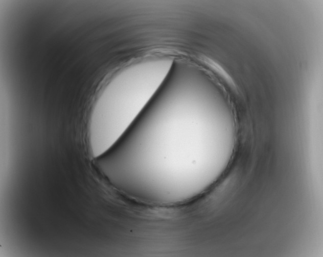 X0000097000777200802081027