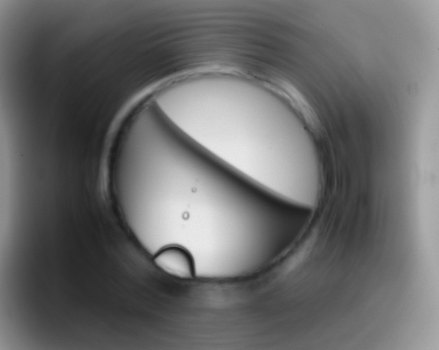 X0000097000780200802081027