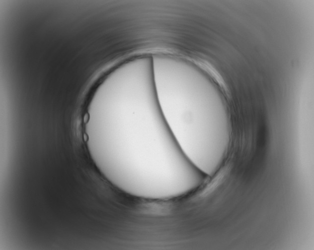 X0000097000781200802081027