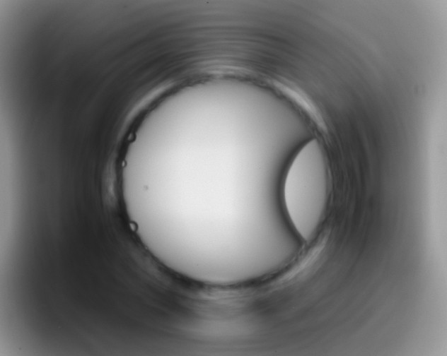 X0000097000782200802081027