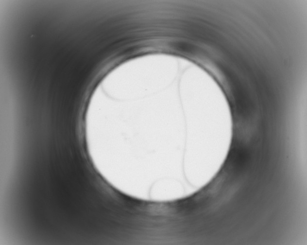 X0000097000807200802081027