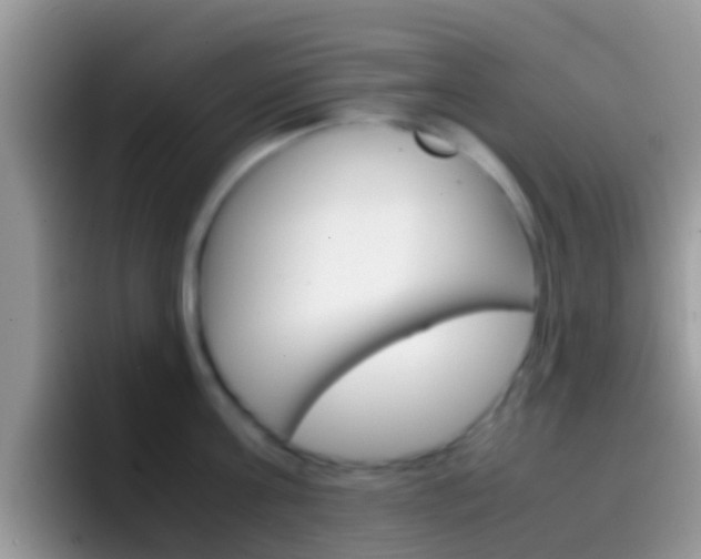 X0000097000811200802081027