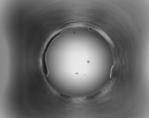 X0000097000813200802081027