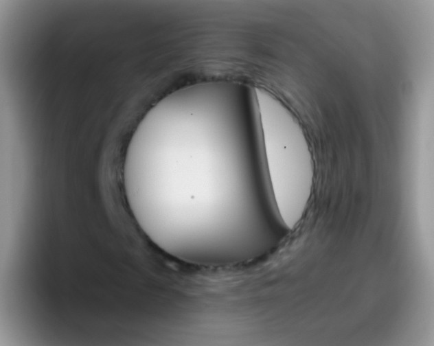 X0000097000817200802081026
