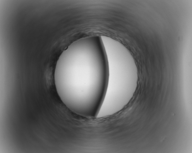 X0000097000818200802081026