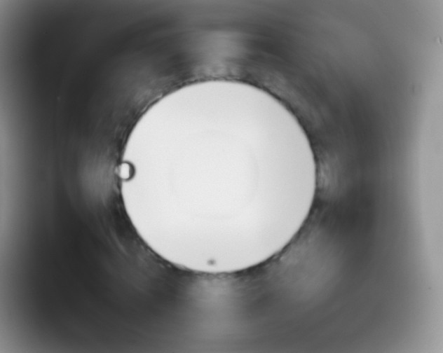 X0000097000820200802081026