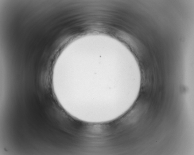 X0000097000828200802081026