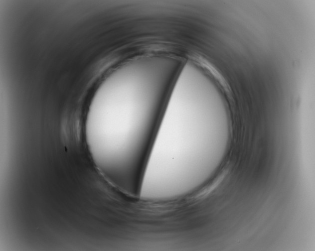 X0000097000829200802081026