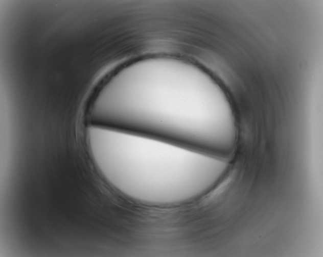 X0000097000830200802081026