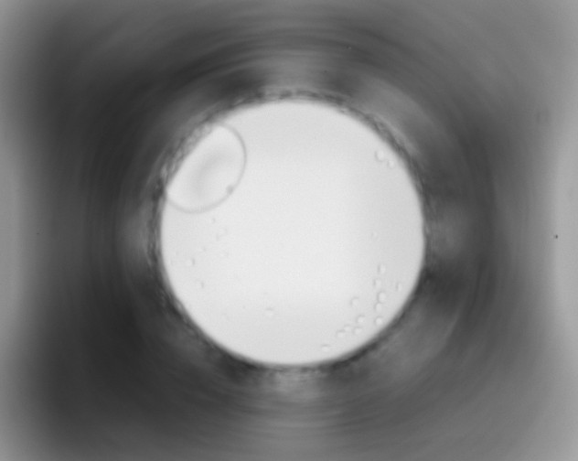 X0000097000832200802081026