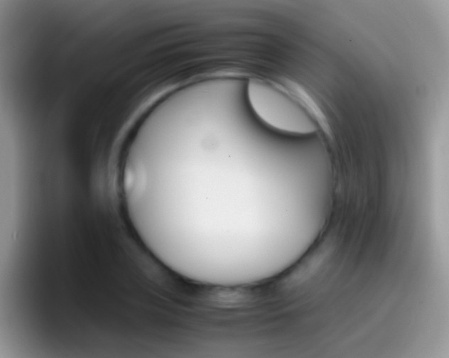 X0000097000835200802081026