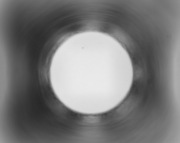 X0000097000836200802081026