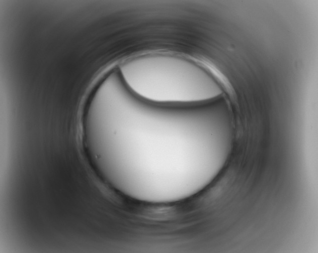 X0000097000837200802081026