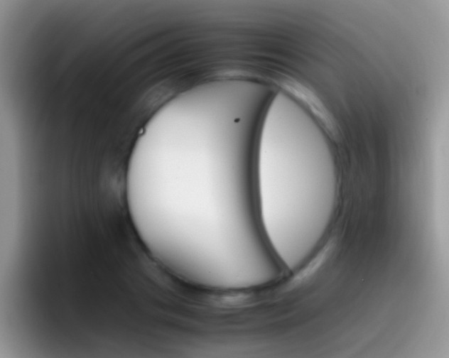X0000097000841200802081026