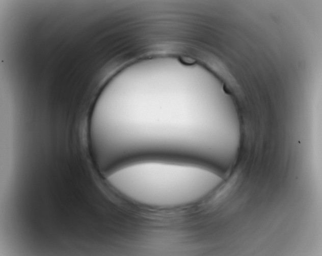 X0000097000842200802081026