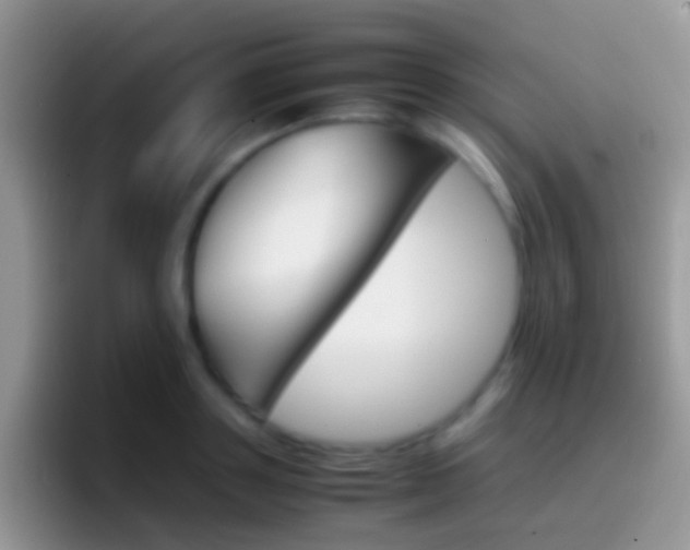 X0000097000843200802081026