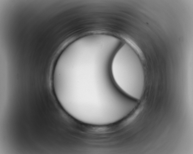 X0000097000845200802081026