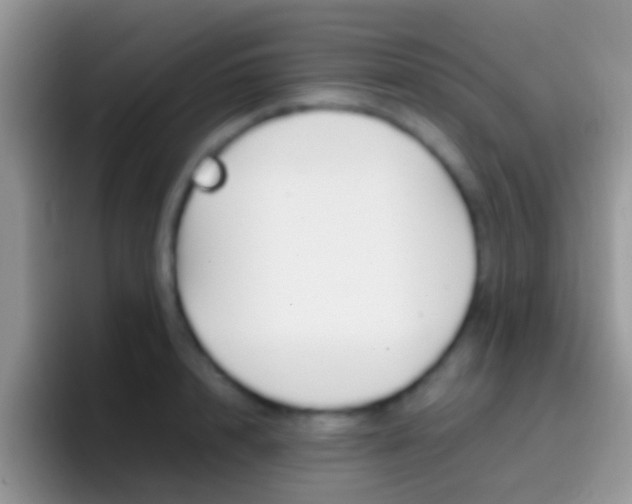 X0000097000848200802081026