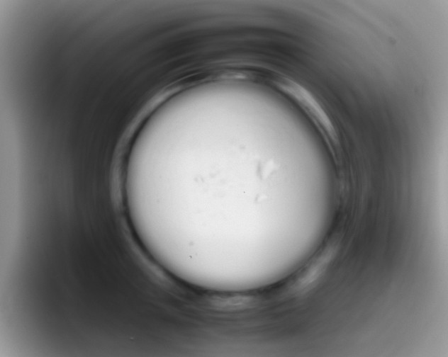 X0000097000851200802081027