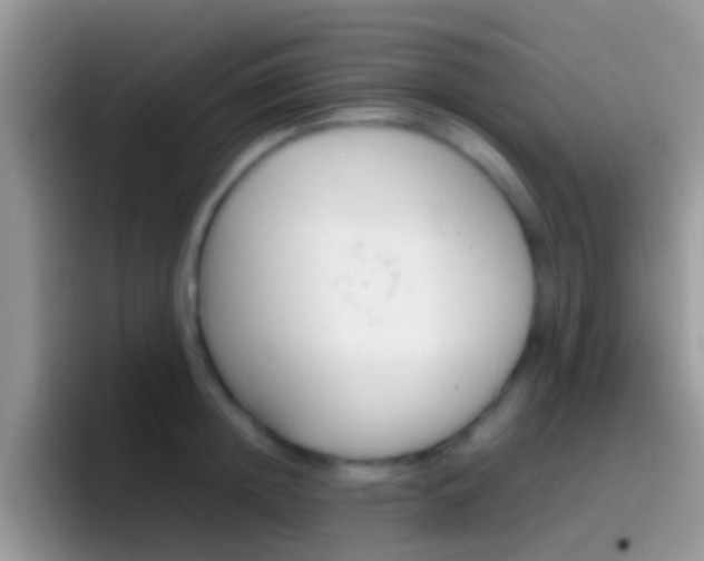 X0000097000852200802081027