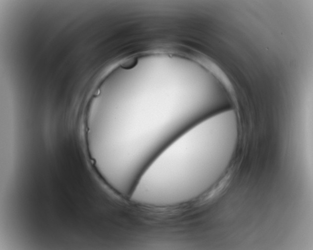 X0000097000855200802081027