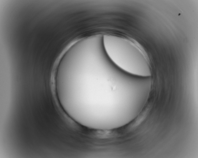X0000097000859200802081027
