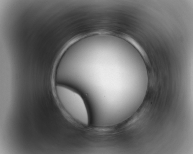 X0000097000861200802081027