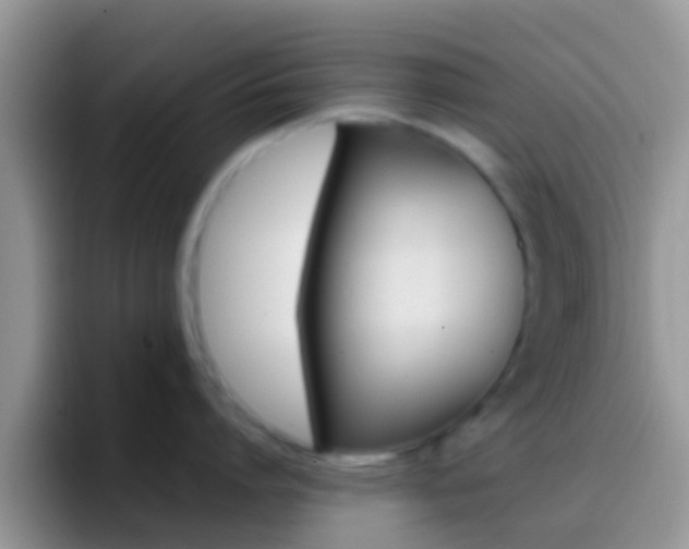 X0000097000864200802081027