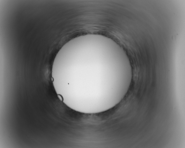 X0000097000866200802081026