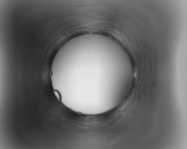 X0000097000867200802081026