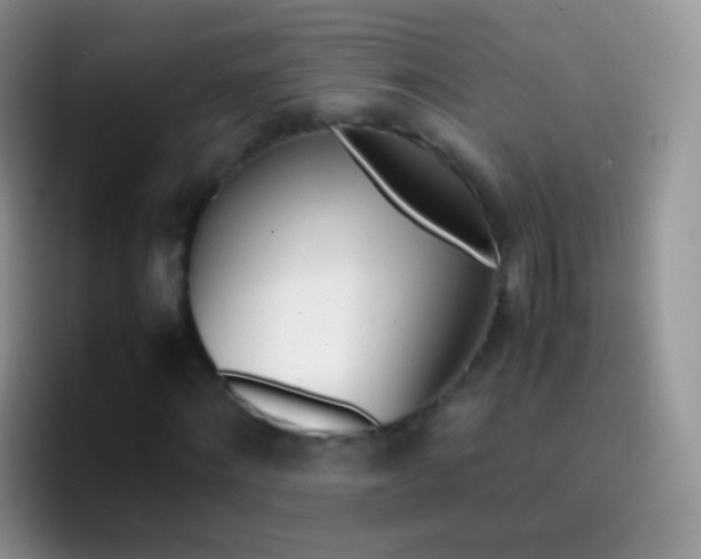 X0000097000868200802081026