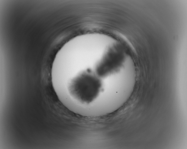X0000097000871200802081026