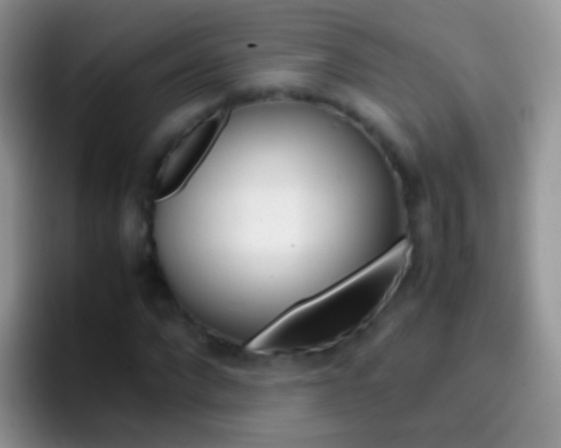 X0000097000872200802081026
