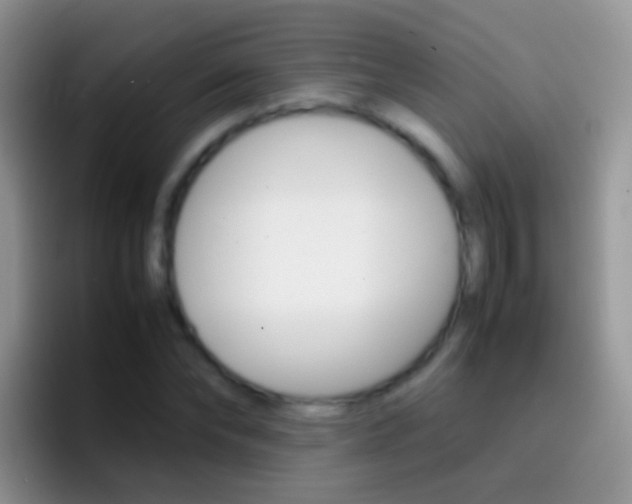 X0000097000878200802081026